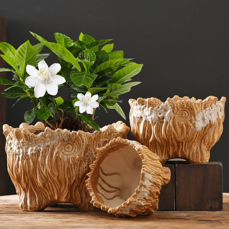Pot de fleurs Céramique Grand Extra Grand bois en forme d'arbre racine vert plante succulente fleur Po