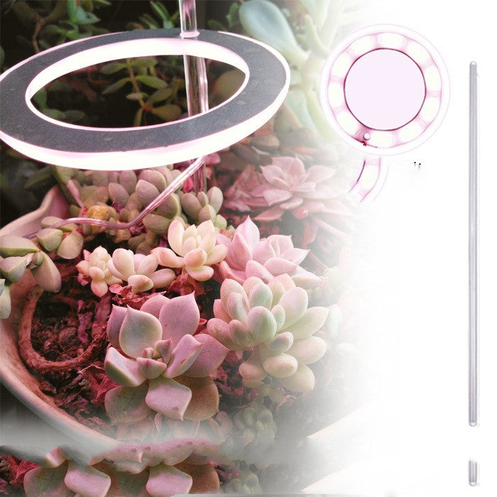 Full-spectrum LED imitant soleil coloration plante lampe de remplissage succulente