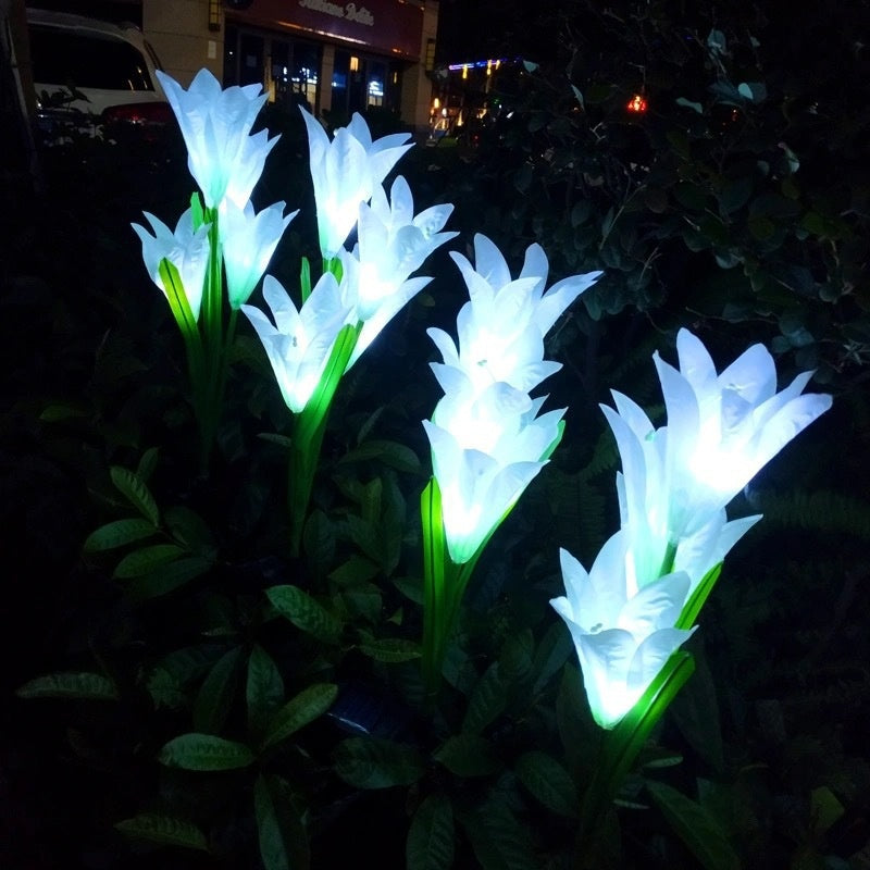 Lampe de jardin de pelouse solaire couleur LED
