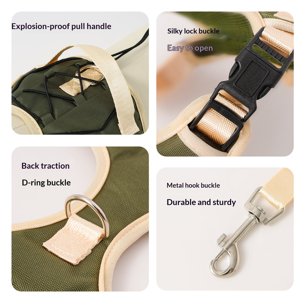 Pet Leash, spécialement pour les grands chiens