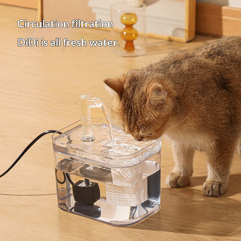 Fontaine d'eau de chat à circulation automatique portable
