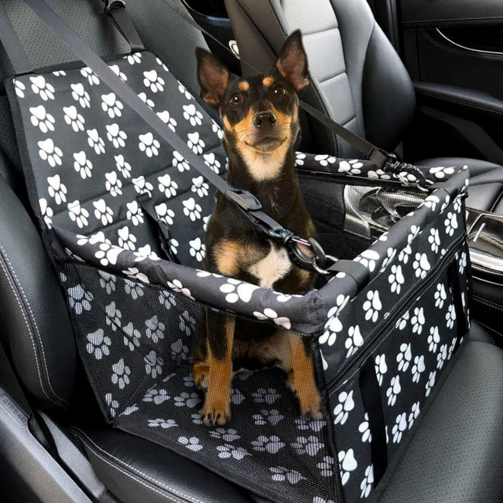 Siège de voiture pour chien pour petit animal de compagnie moyen