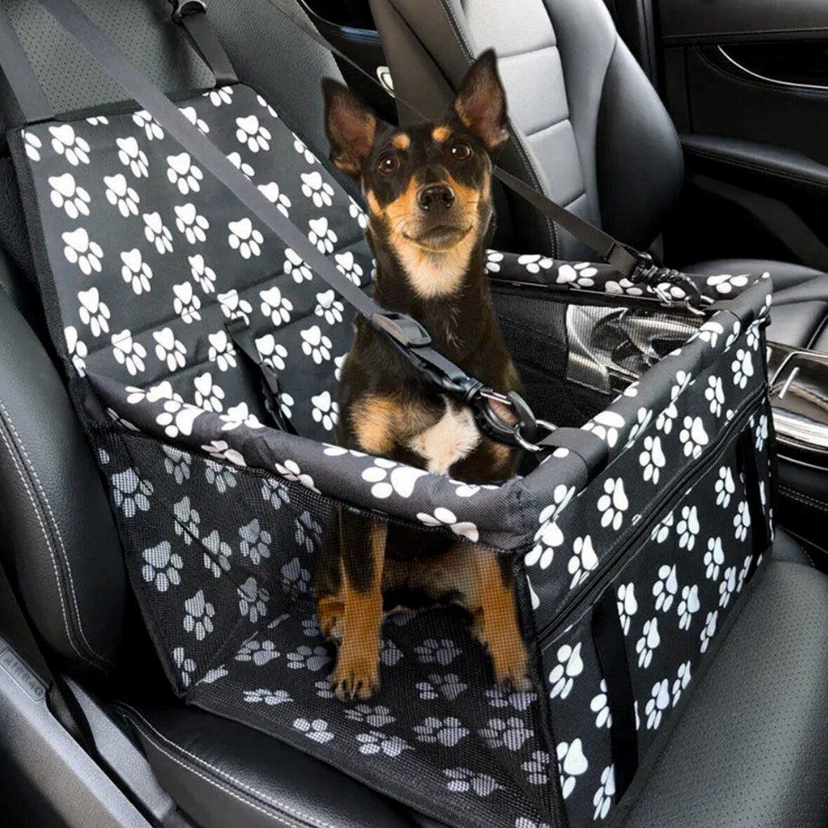 Siège de voiture pour chien pour petit animal de compagnie moyen