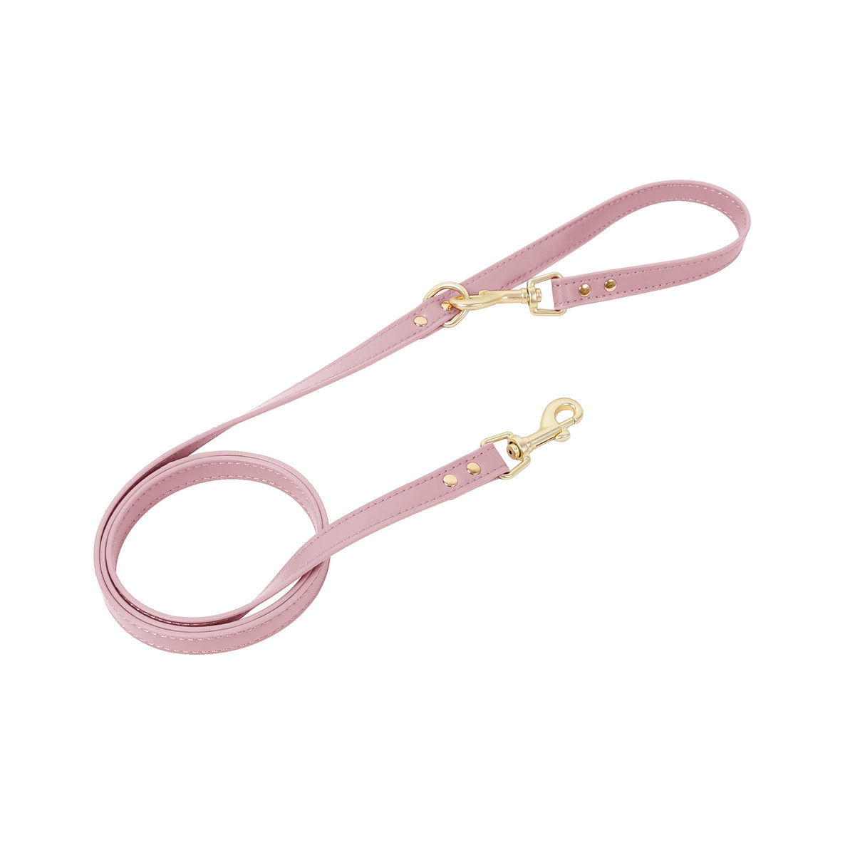 Harnais pour chiens et chats et laisses pour marcher
