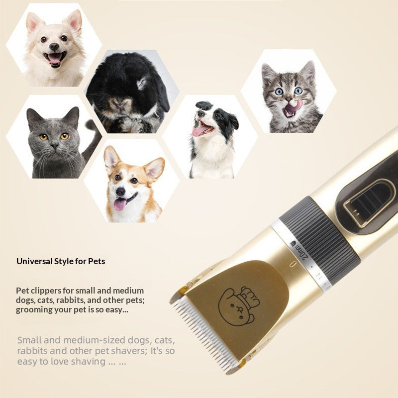 Pantoufles pour animaux de compagnie