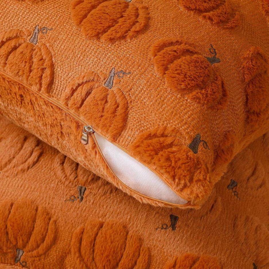 Softalker Couvertures d'oreiller à l'automne 18x18 Ensemble de 2 - Coussin décoratif de citrouille orange rouille