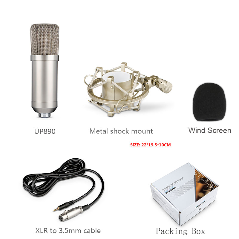 Microphone Condenseur Microphone Grand Diaphragme Microphone Condenseur