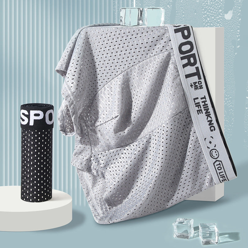 Sous-vêtements Hommes Ice Silk Mesh Boxers