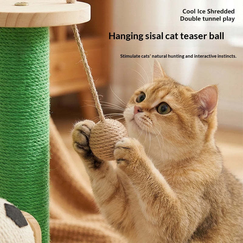 Tableau de scratching des chats