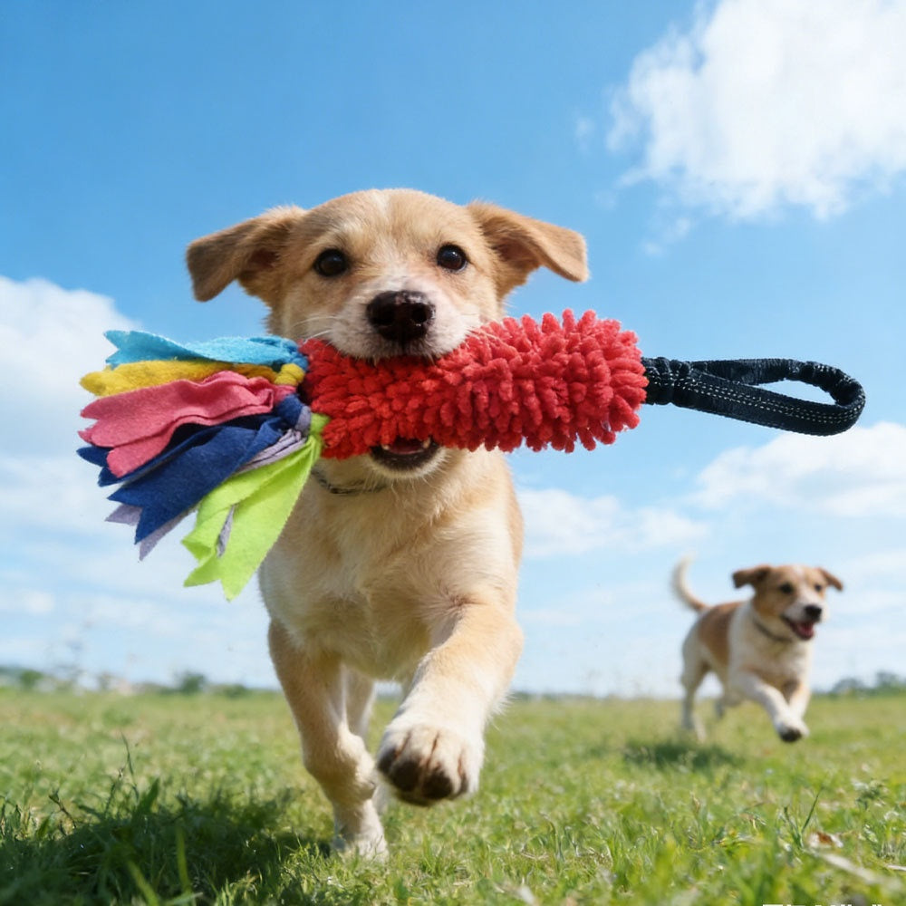 Animaux de compagnie Dents et dents Nettoyage Rope résistante chien Interactive Boredom Busting