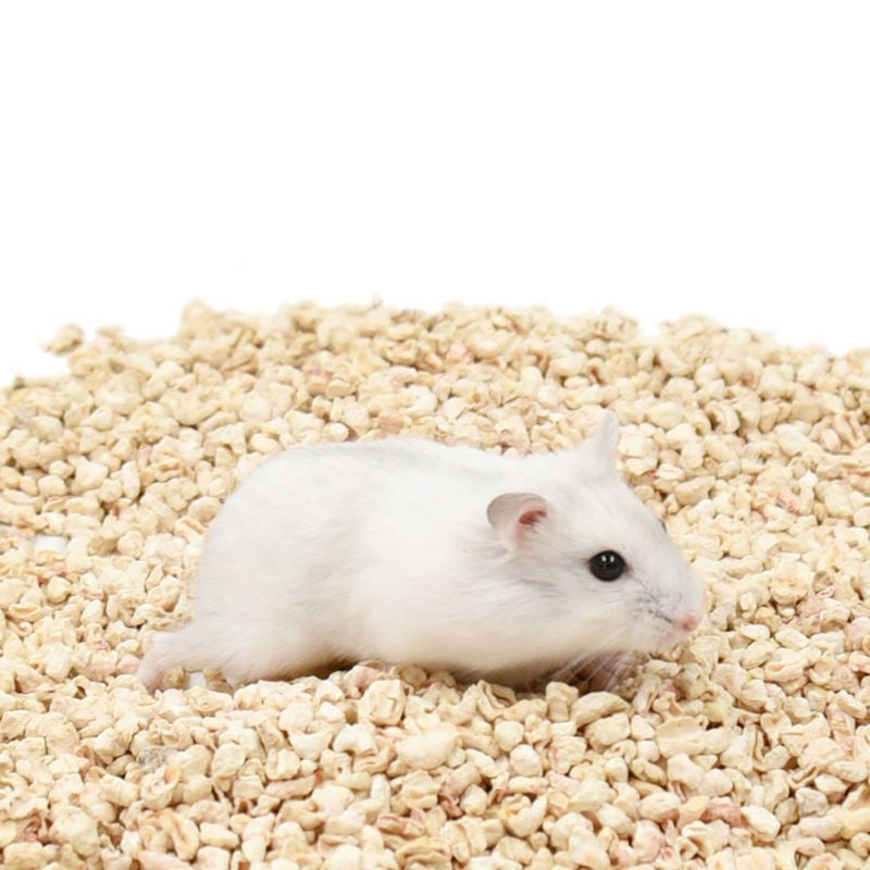 Literie de maïs hamster Refroidissement d'été Désodorisation des rasages de bois Fournitures de litière
