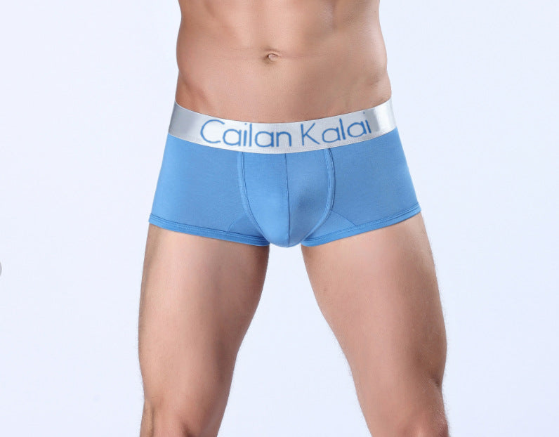 Sous-vêtements pour hommes Boxers Modal Breathable Boxer