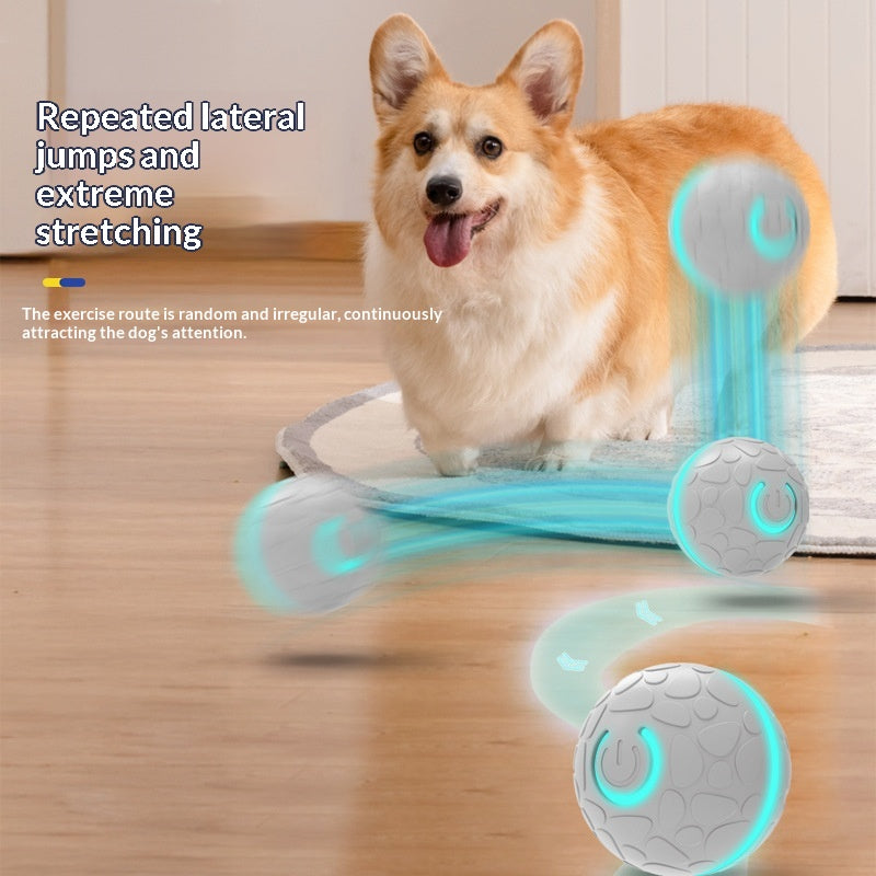 Smart Bunncing Ball électrique Charging Chat et chien jouet Pet chien jouet balle