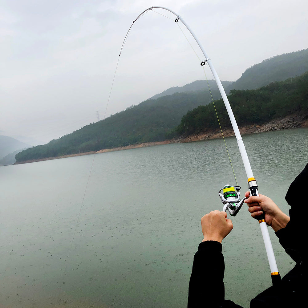 2.1M -3.6M Carpe d'engraissement de tige de pêche en fibre de carbone FP dur Telescopique de pêche de tige de pêche Po