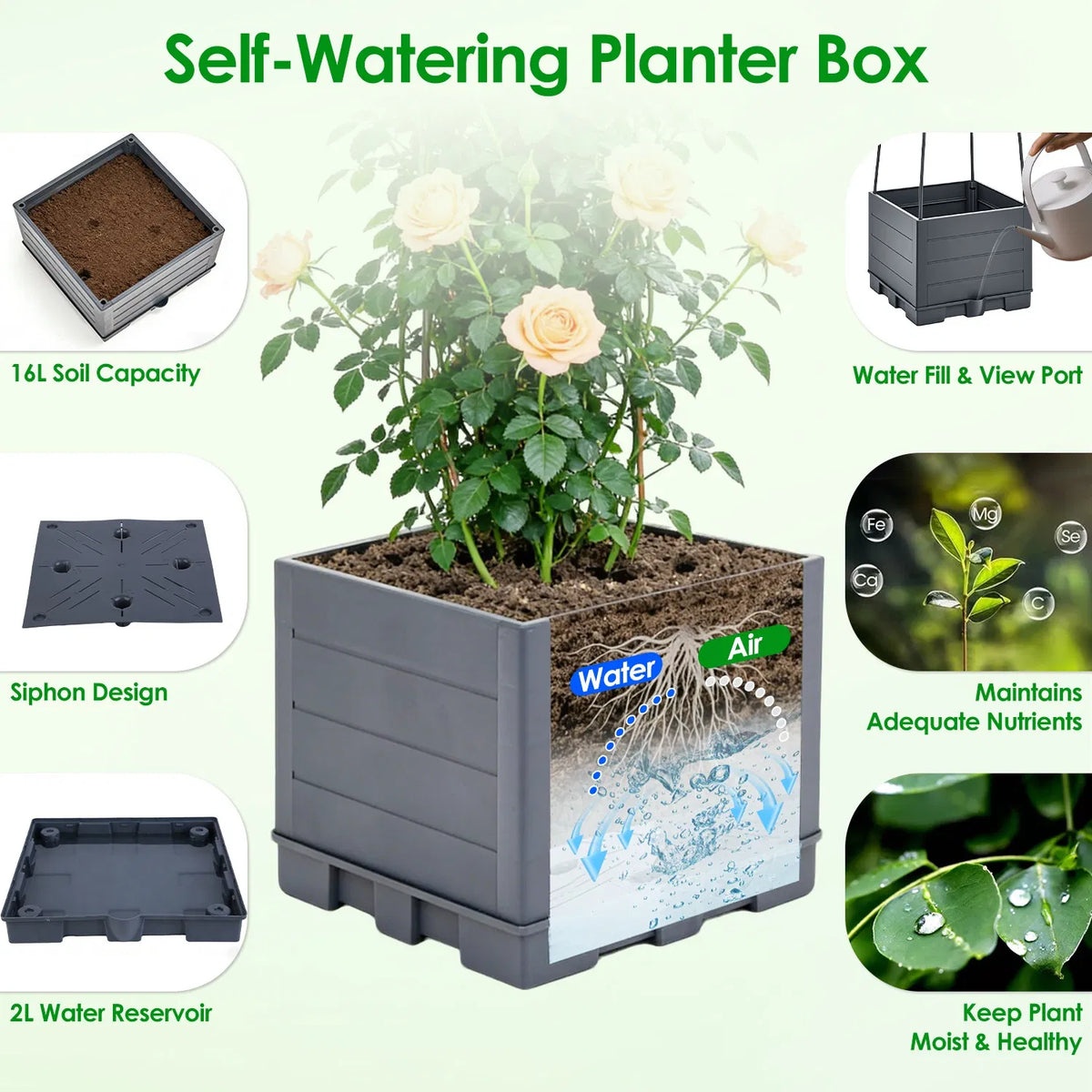 Planteur de Trellis réglable en hauteur de 4 dimensions avec réservoir auto-aqueduc 2L