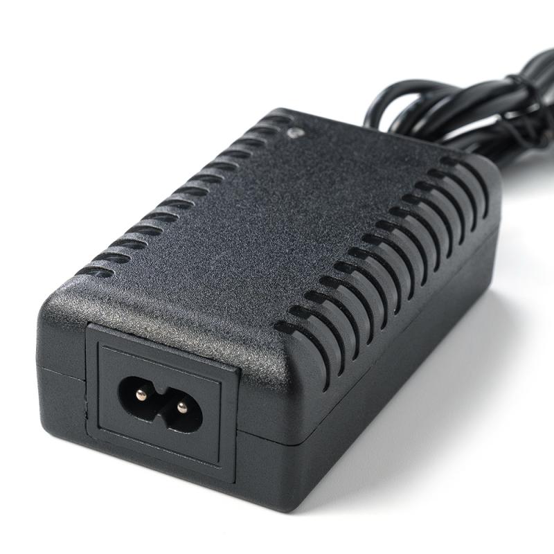 Chargeur de balance 42V2A