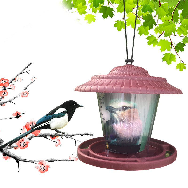 Alimentateur d'oiseaux transparent en plastique