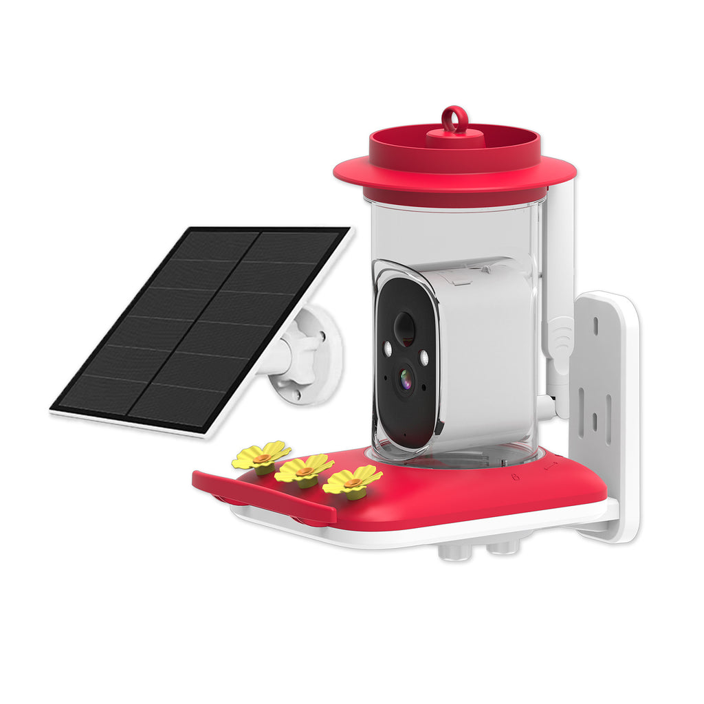 Intelligent Visual Cummingbird Water Feeder 5MP Pixel Outdoor HD