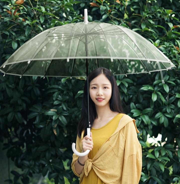 Grande poignée longue 16 Rib transparent parapluie