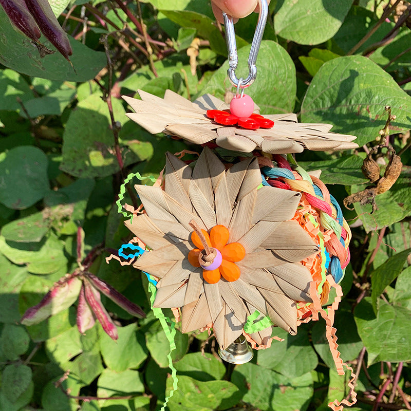 Jouets éducatifs brossé de palmier de perroquet