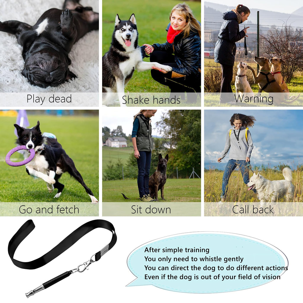 Whistle de chien 2 Pack