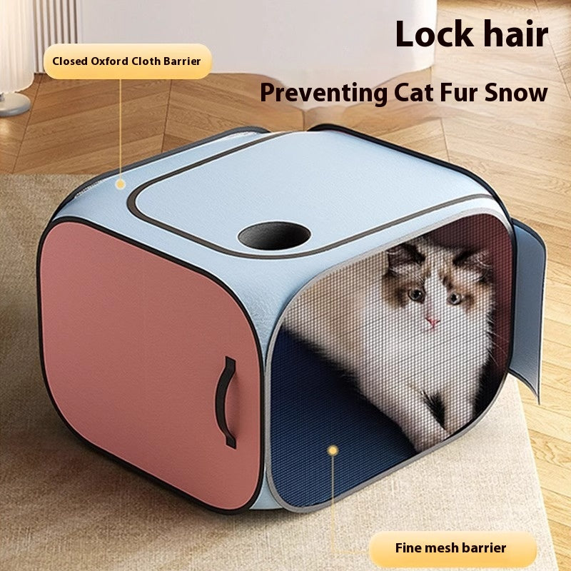 Séchoir à cheveux domestiques pour le séchage des chats