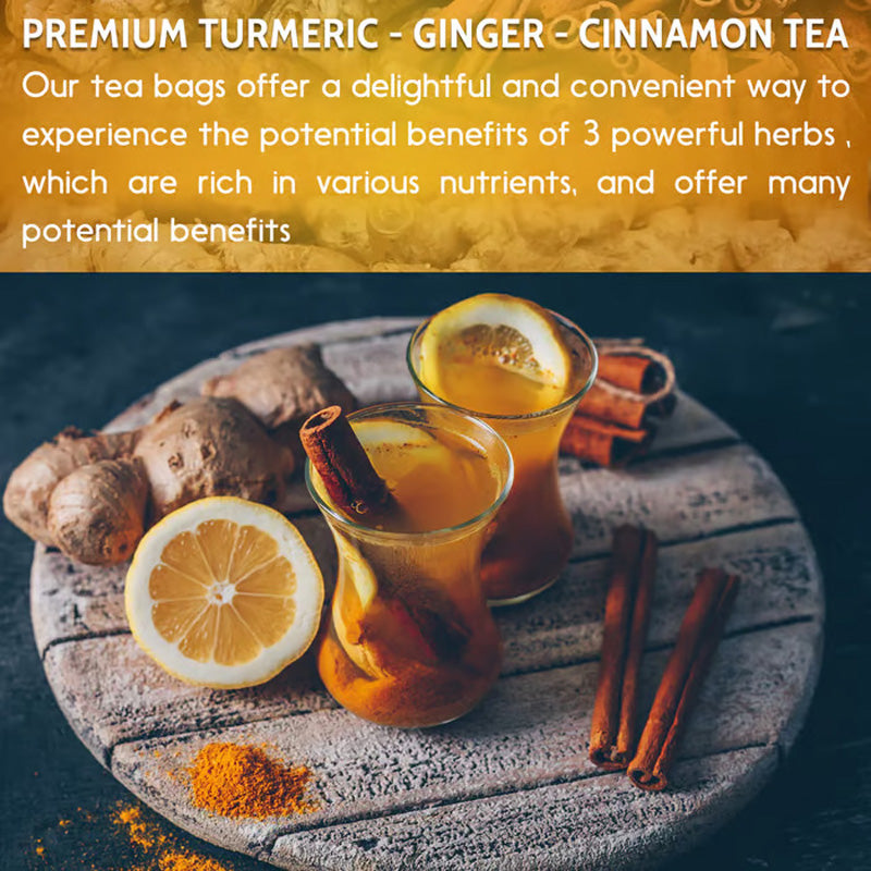 120 sacs Turmeric Ginger Cinnamon Tea Bags