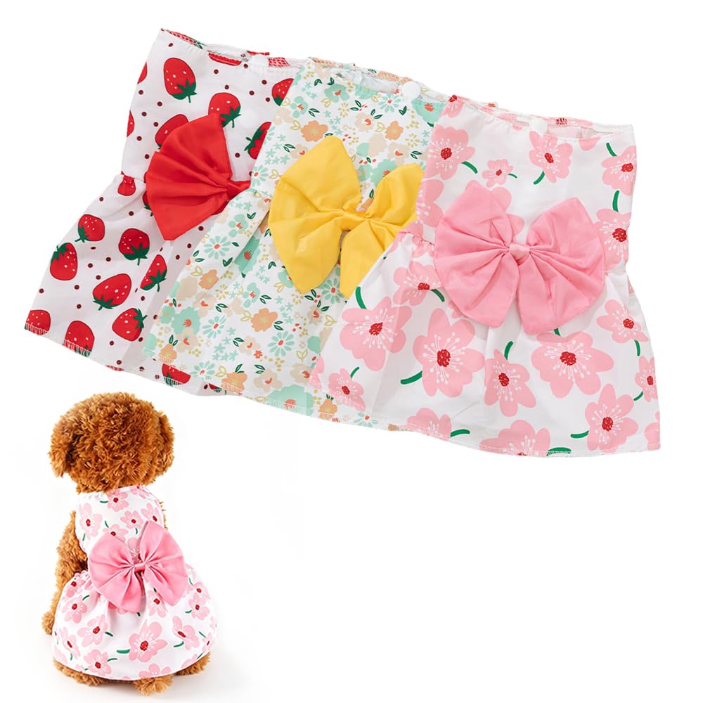 Robe de chien de 3 paquets