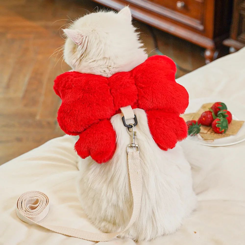 Pet Bow Cost Strrap Traction Rope de marche chien corde et chat sortir mignon Bow Self Bac