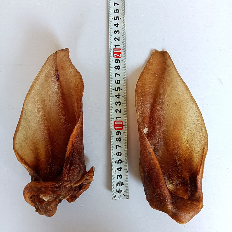 Ablation de cheveux de séchage d'air non additive Chirita Eburnea Toutes les races Universal Molar Long Lasti