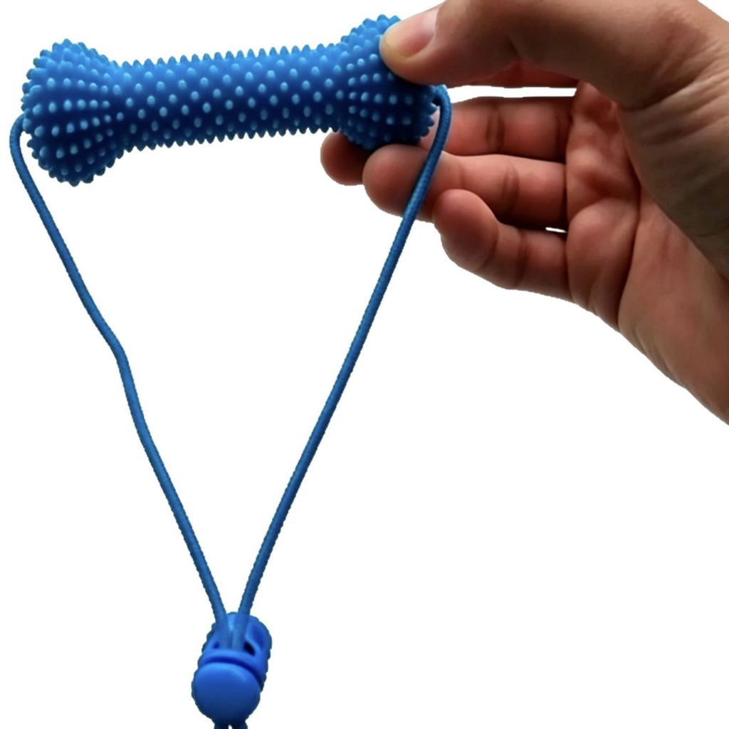 Bâton à croquer pour brosser rapidement les dents