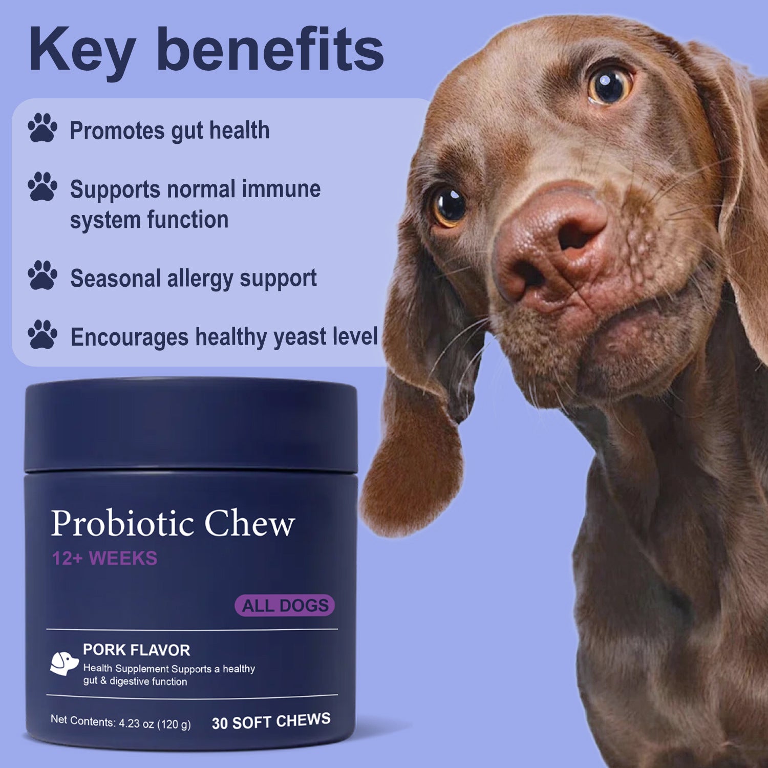 Multivitamine de chien 22-en-1 pour les articulations de la peau et la santé globale