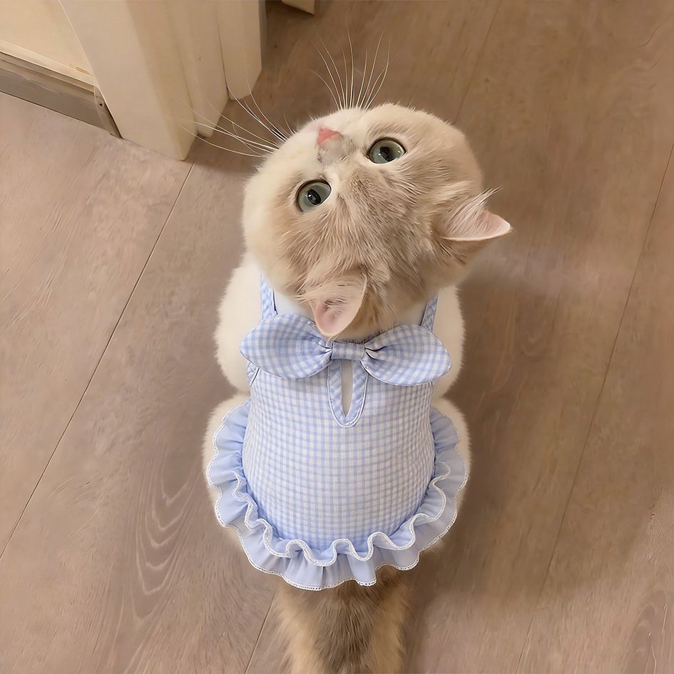 Vêtements de chat Été mince Robe élégante