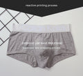 Sous-vêtements pour hommes Boxers Modal Breathable Boxer