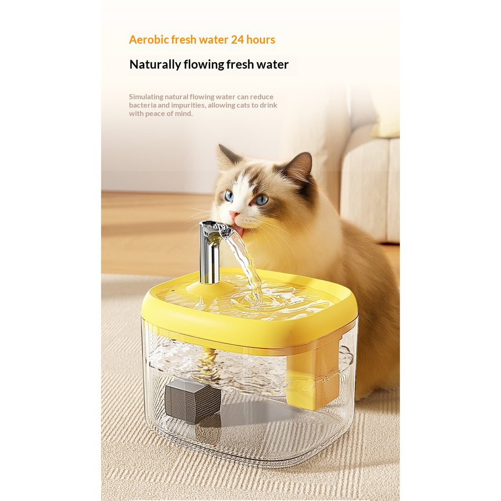 Fontaine d'eau de circulation automatique pour les chats