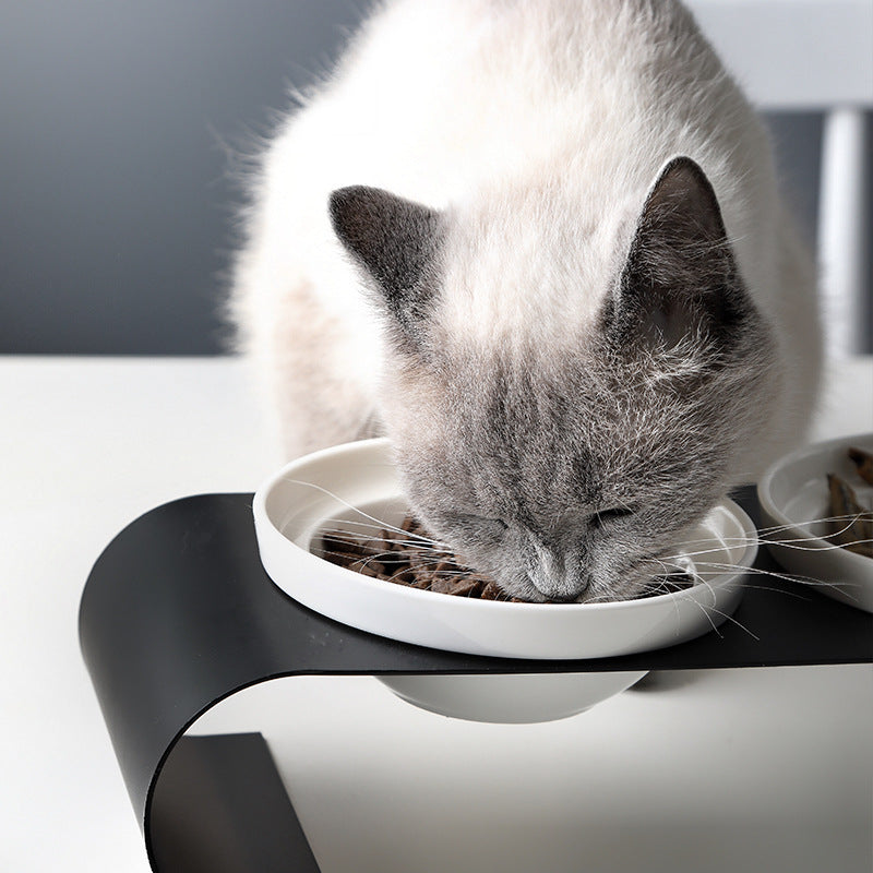 Double Bowl Dog Bowl Iron Frame Prote Spine Ceramic Bowl Set