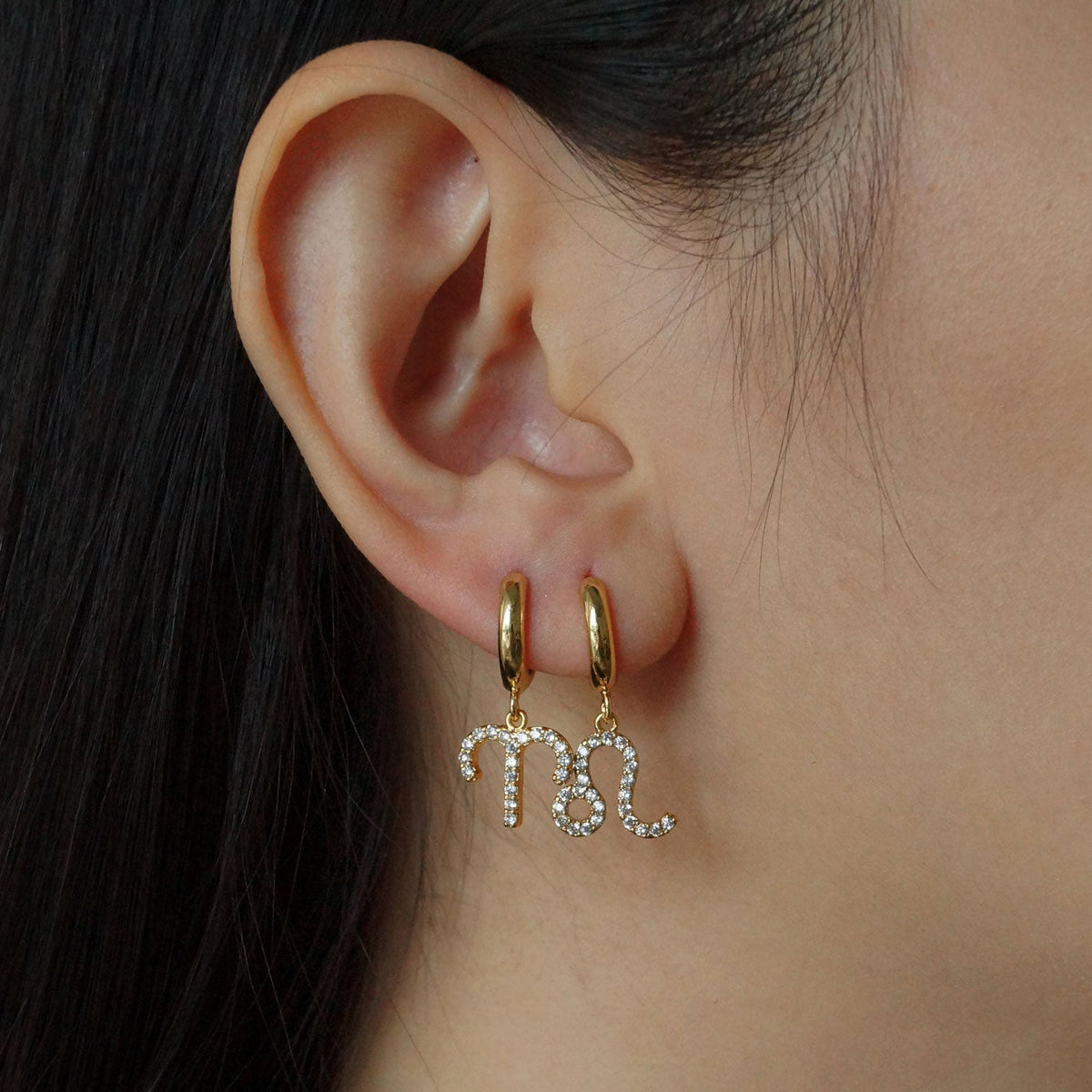 Boucles d'oreilles zodiac Micro Paved Zircon