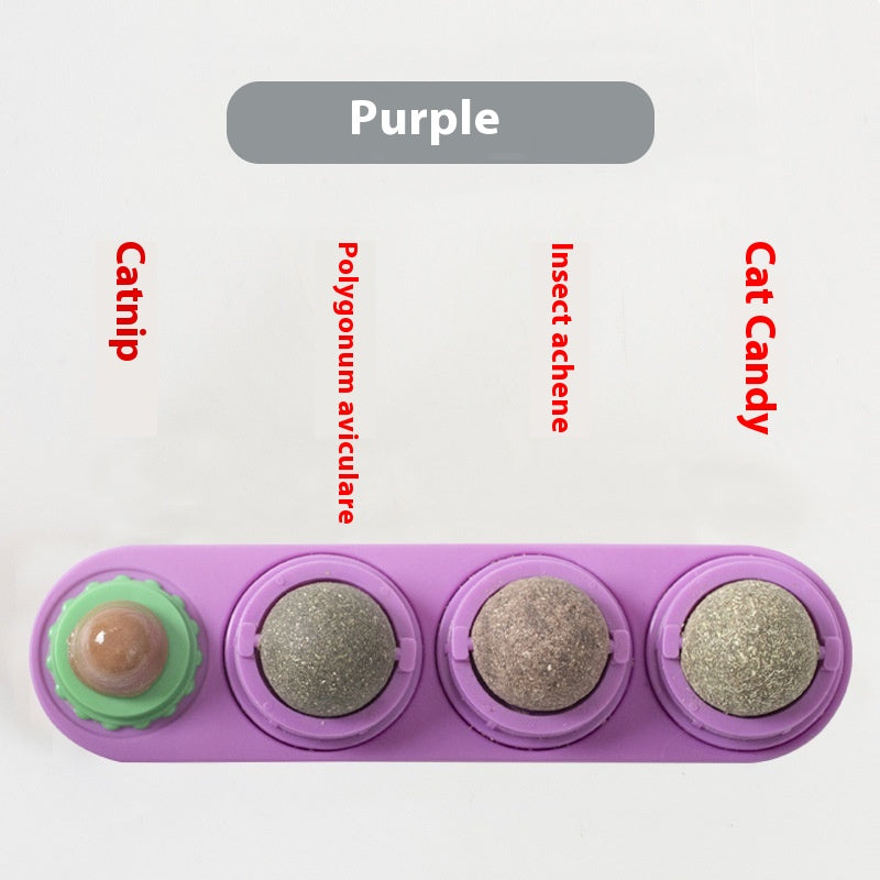 Tasses de jouet de chat Molar Longue durée Pet Supplies