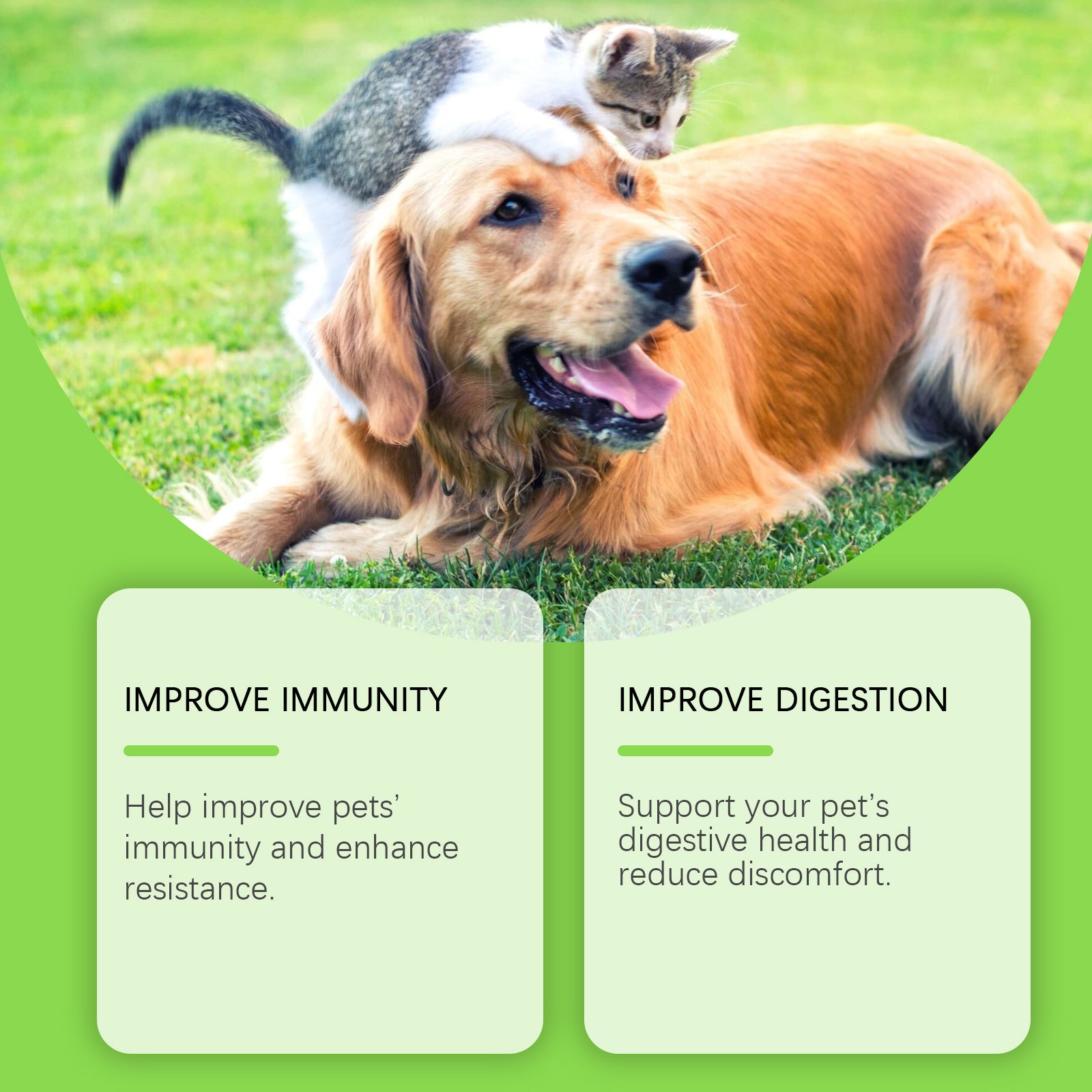 Probiotiques pour animaux de compagnie et comprimés de vitamine pour chiens et chats