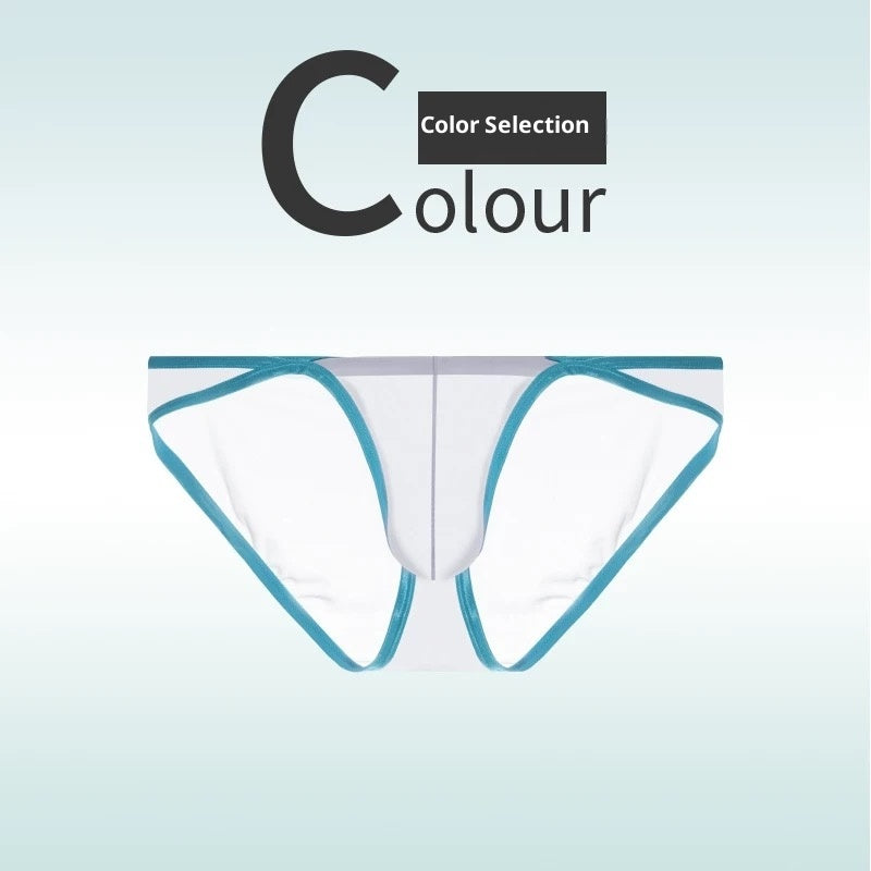 Slips en soie de glace ultra-mince, transparents et de taille basse