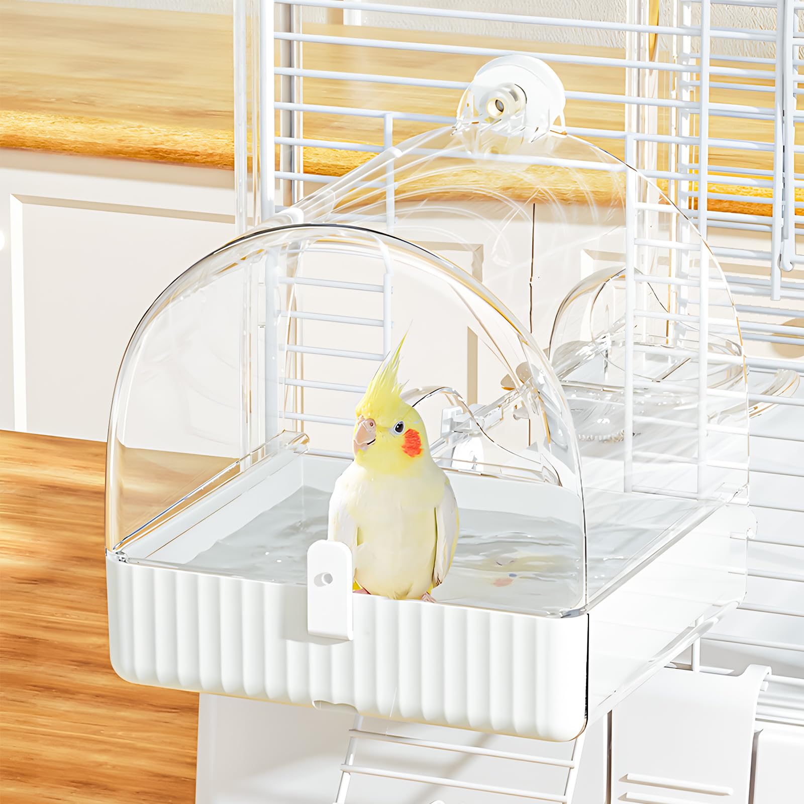 Bain d'oiseau suspendu pour la cage