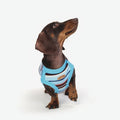 Vêtements de chien Cool Vêtements de petite et moyenne taille