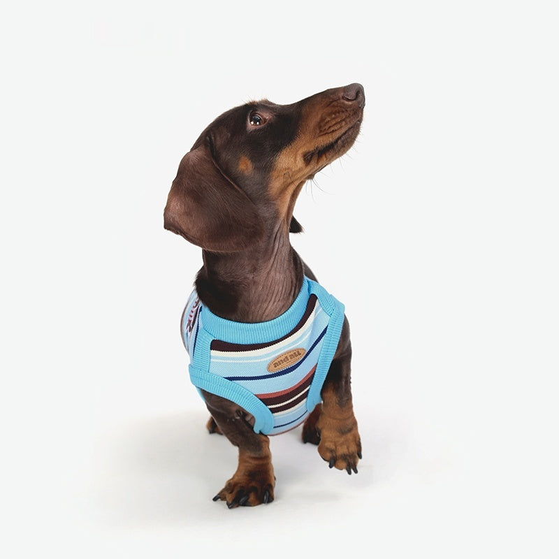 Vêtements de chien Cool Vêtements de petite et moyenne taille