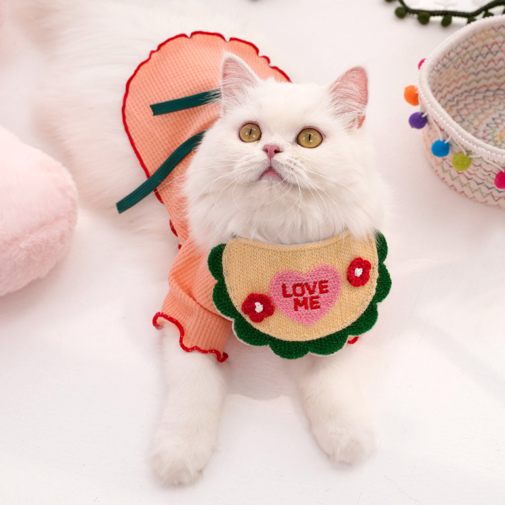 Bib de chat brodé en dentelle de style animal
