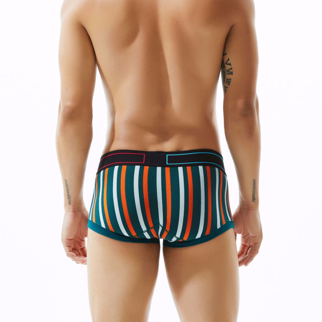 Sous-vêtements Homme rayé Rainbow Sport Boxer