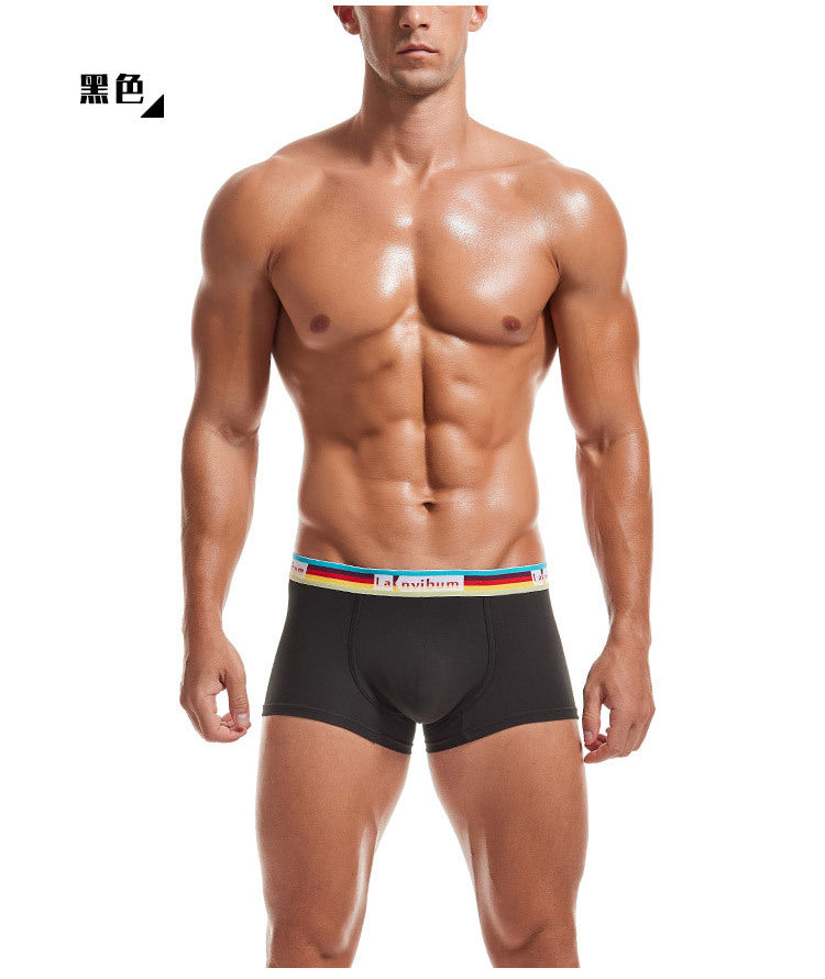 Sous-vêtements pour hommes en coton taille moyenne Rainbow Belt Boxer Short