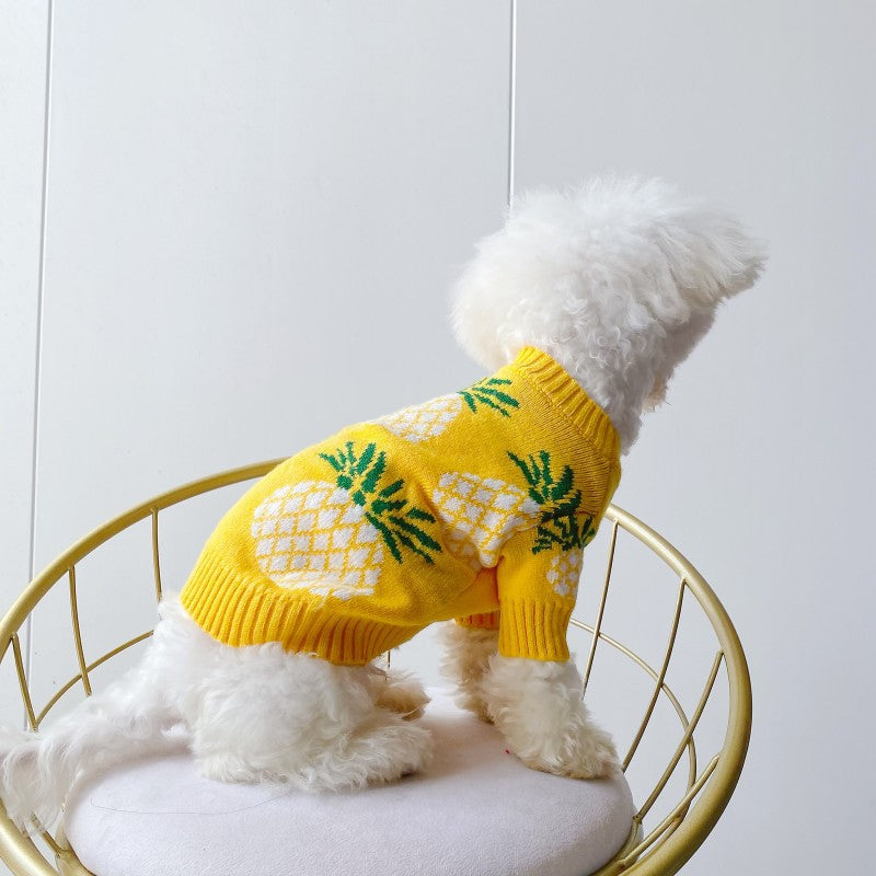 Mignon ananas Imprimer Jarre Aero Bull Automne et hiver Vêtements de Noël