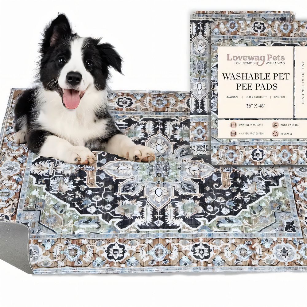 Résistant à la tache transversale et facile à nettoyer Canapé et table à café Rug tapis résistant à l'urine
