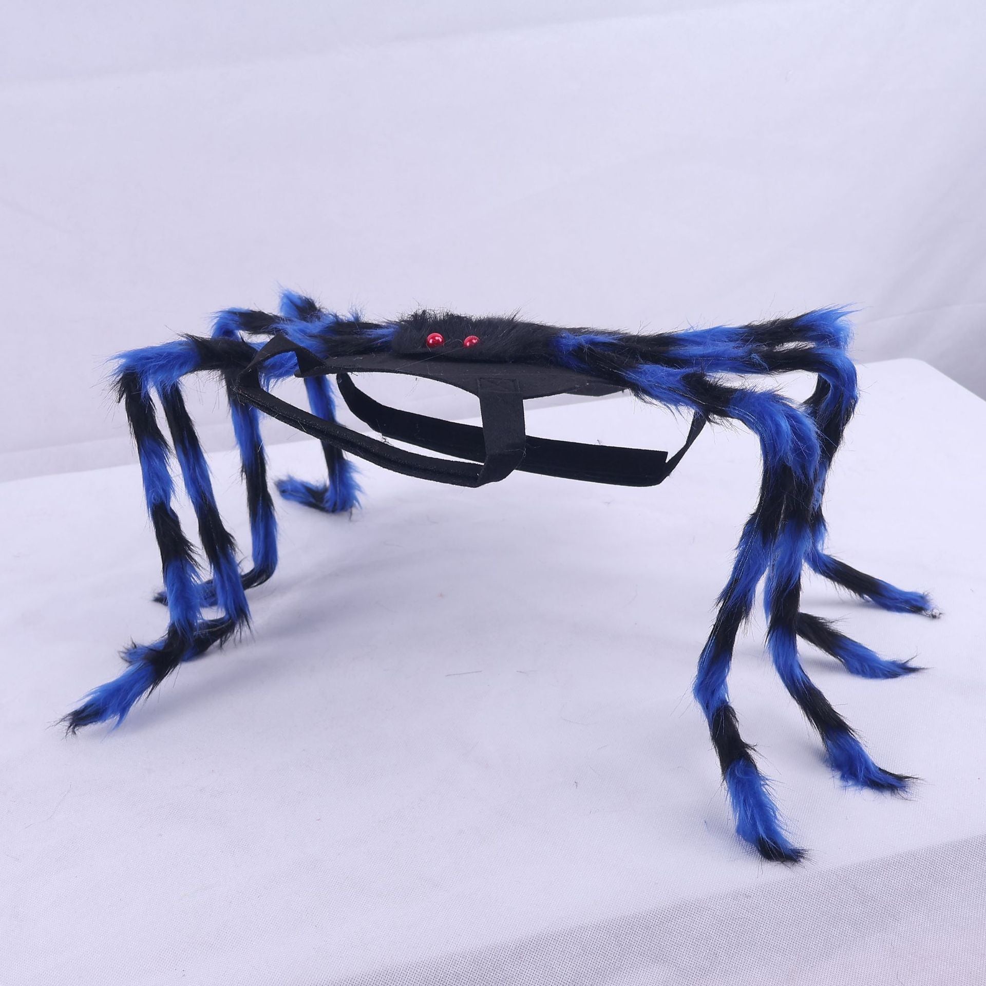 Déguisement Halloween Pet Spider Style américain