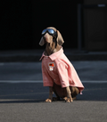 Vêtements de chien pour grandes races Labrador